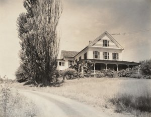  da Alfred Stieglitz