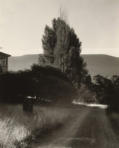  da Alfred Stieglitz