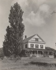  da Alfred Stieglitz