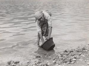  da Alfred Stieglitz