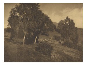 [Paesaggio, Tirolo] da Alfred Stieglitz