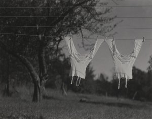  da Alfred Stieglitz