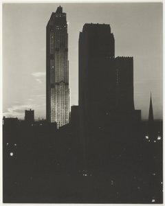 New York dal Shelton