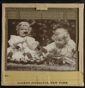 Nipoti - Flora con un Fiore, e Hedwig da Alfred Stieglitz