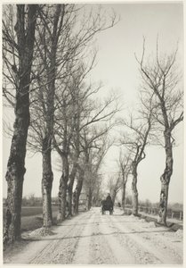 Giorni di novembre da Alfred Stieglitz