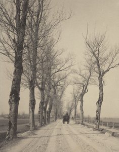  da Alfred Stieglitz