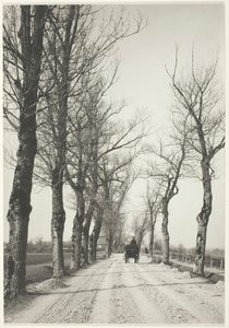 Giorni di novembre, 1887, stampato 192039 da Alfred Stieglitz