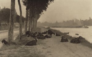  da Alfred Stieglitz