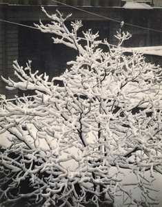 Fuori dalla finestra - 291 - N.Y. da Alfred Stieglitz