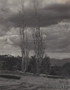  da Alfred Stieglitz