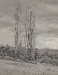  da Alfred Stieglitz