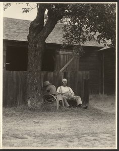  da Alfred Stieglitz