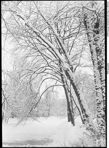 Paesaggio innevato, Berlino