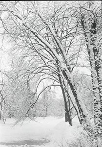 Paesaggio innevato, Berlino