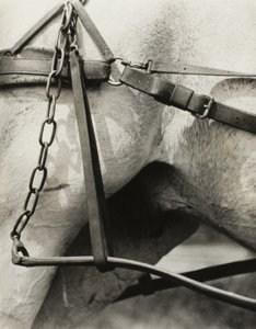 America Spirituale: Canti del Cielo A1 da Alfred Stieglitz