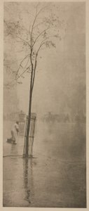 Piogge primaverili da Alfred Stieglitz