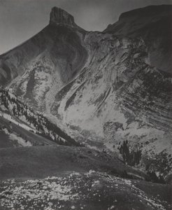  da Alfred Stieglitz