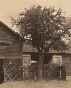  da Alfred Stieglitz