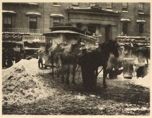 Il Terminal, 1893