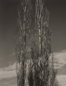  da Alfred Stieglitz