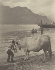  da Alfred Stieglitz