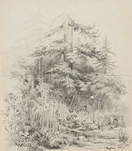Luogo di sepoltura indiano, Oregon, 1841 da Alfred Thomas Agate