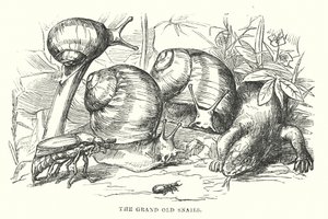  da Alfred Walter (after) Bayes