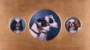 Fox Terrier e Cavalier King Charles Spaniel