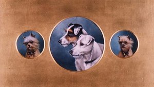 Fox Terrier e Yorkshire Terrier da Alfred Wheeler