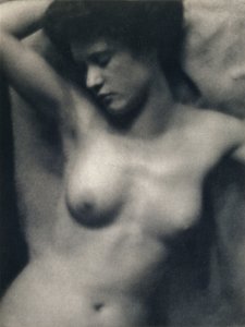 Il torso