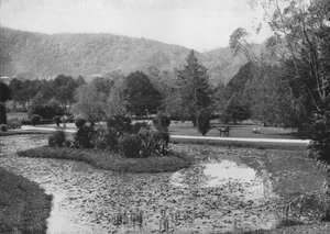 Giardini di Hakgalla dal laghetto di loto, Nuwara Eliya, c1890, 1910