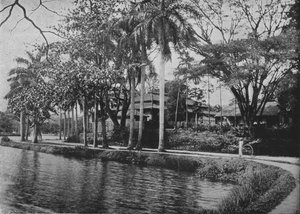 Kandy - Un angolo pittoresco del lago, c1890, 1910