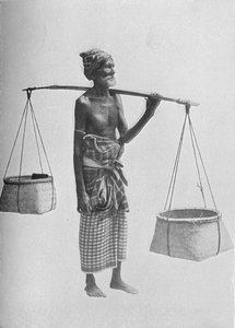 Portatore di pingo, c1890, 1910