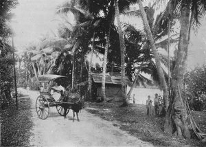 Strada accanto al fiume Kelaniya da Alfred William Amandus Plate