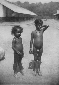 Bambini della tenuta Tamil, c1890, 1910