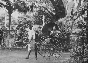 Signora Tamil in risciò, c1890, 1910