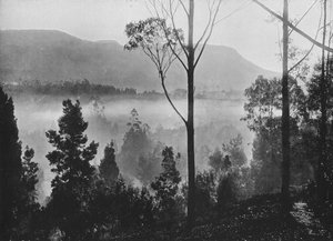 La nebbia del primo mattino che si alza a Nuwara Eliya, c1890, 1910 da Alfred William Amandus Plate