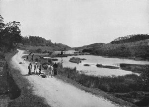 Le Pianure della Luna, Nuwara Eliya da Alfred William Amandus Plate
