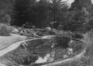 Il Giardino delle Rocce, Giardini di Hakgalla, Nuwara Eliya, c1890, 1910 da Alfred William Amandus Plate