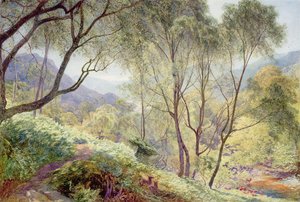 Ullswater da Gowbarrow Park, 1864 da Alfred William Hunt