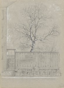 Cartellone e albero