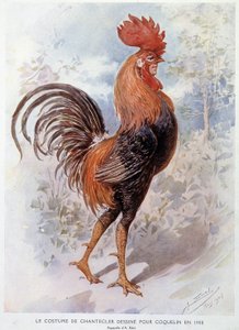 Costume del Gallo di Chantecler disegnato per Constant Poppy nel 1908, opera in versi di Edmond Rostand da Alfredo Edel
