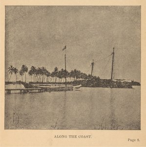 Lungo la costa da Alice Dixon Le Plongeon