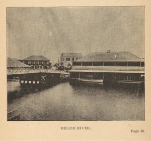Fiume Belize da Alice Dixon Le Plongeon