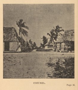 Cozumel da Alice Dixon Le Plongeon