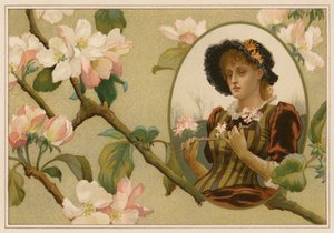 Il ramo di mela vanitoso da Alice Havers