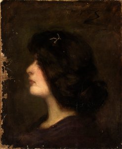 Laura a quindici anni, 1894