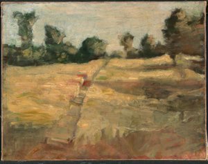 Il campo