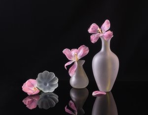  da Alice Sheng
