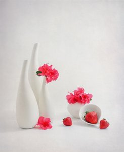  da Alice Sheng